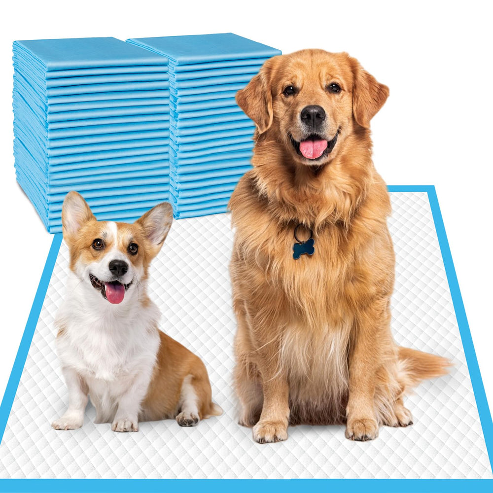 DEEP DEAR dog pads 30x36 front view, ultra absorbent surface for large dogs.