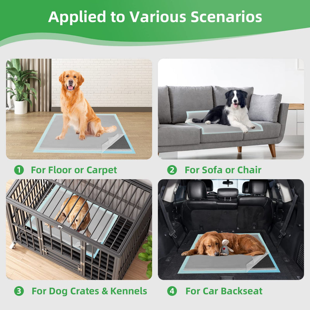 Great for indoor and travel use, especially during car trips and outdoor visits
