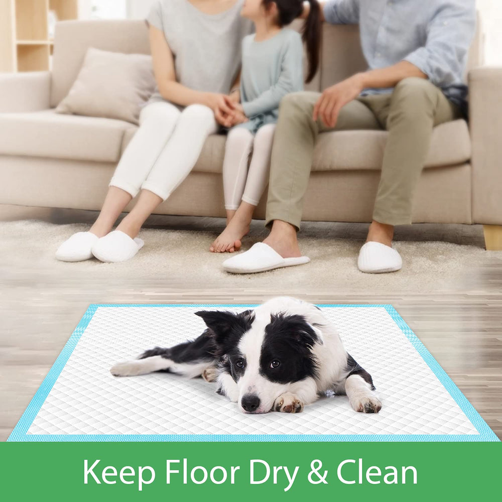 Deep Dear travel-friendly pads for indoor and outdoor use.