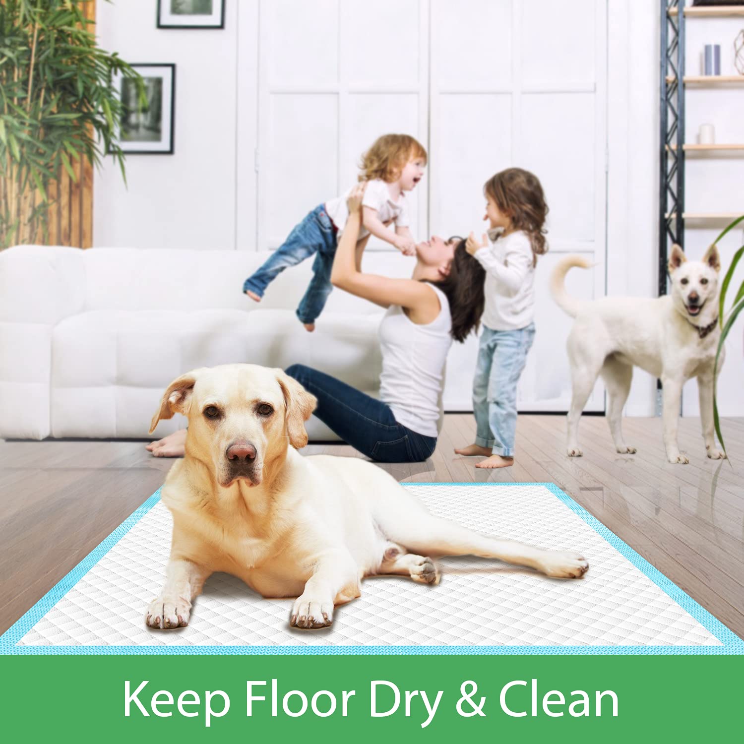 Deep Dear XL dog pad pack shot showing 40 count value