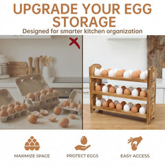 DeepRedCoast 36-slot egg slots securely cradle eggs.