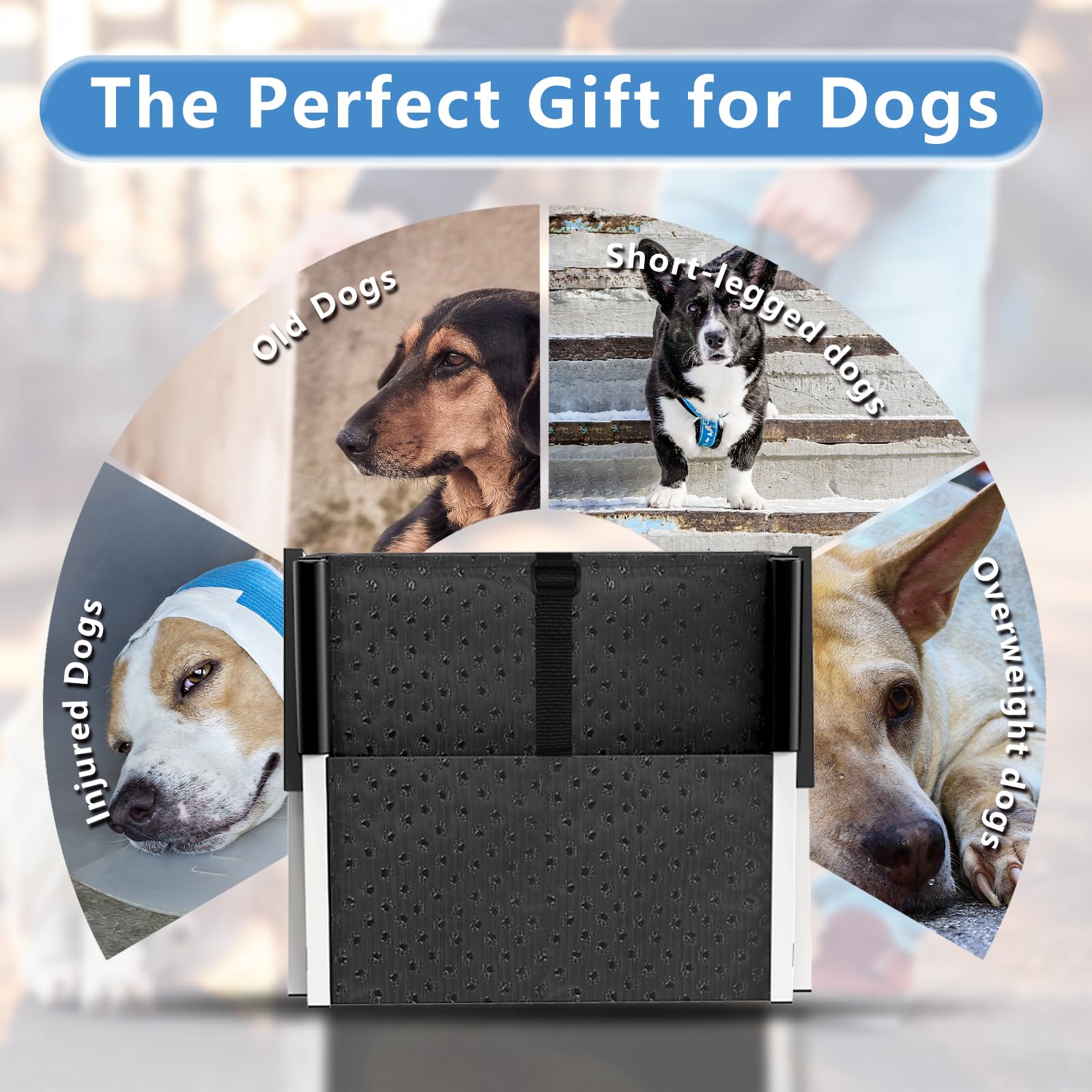 DeerGym dog stairs non-slip surface improves footing on slick floors.