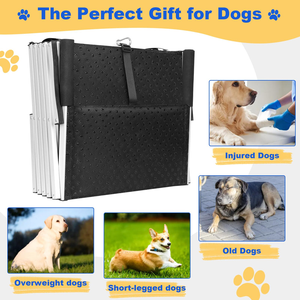 DeerGym foldable design makes travel simple with compact folding and storage.