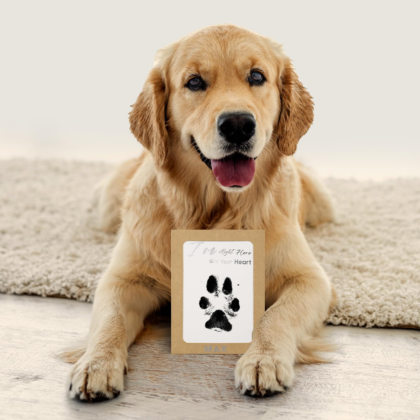 Pet paw memory captured with DeerZone kit for dogs and cats.