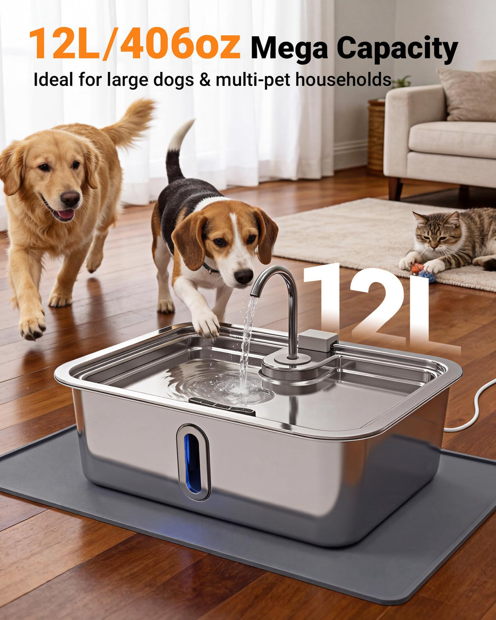 DeftPet silicone mat catching spills and doubling as a feeding mat.