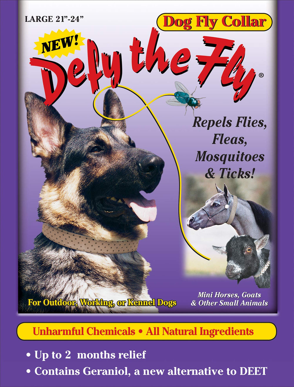 Defy The Fly dog collar front view with chemical-free pest deterrence for outdoor walks.
