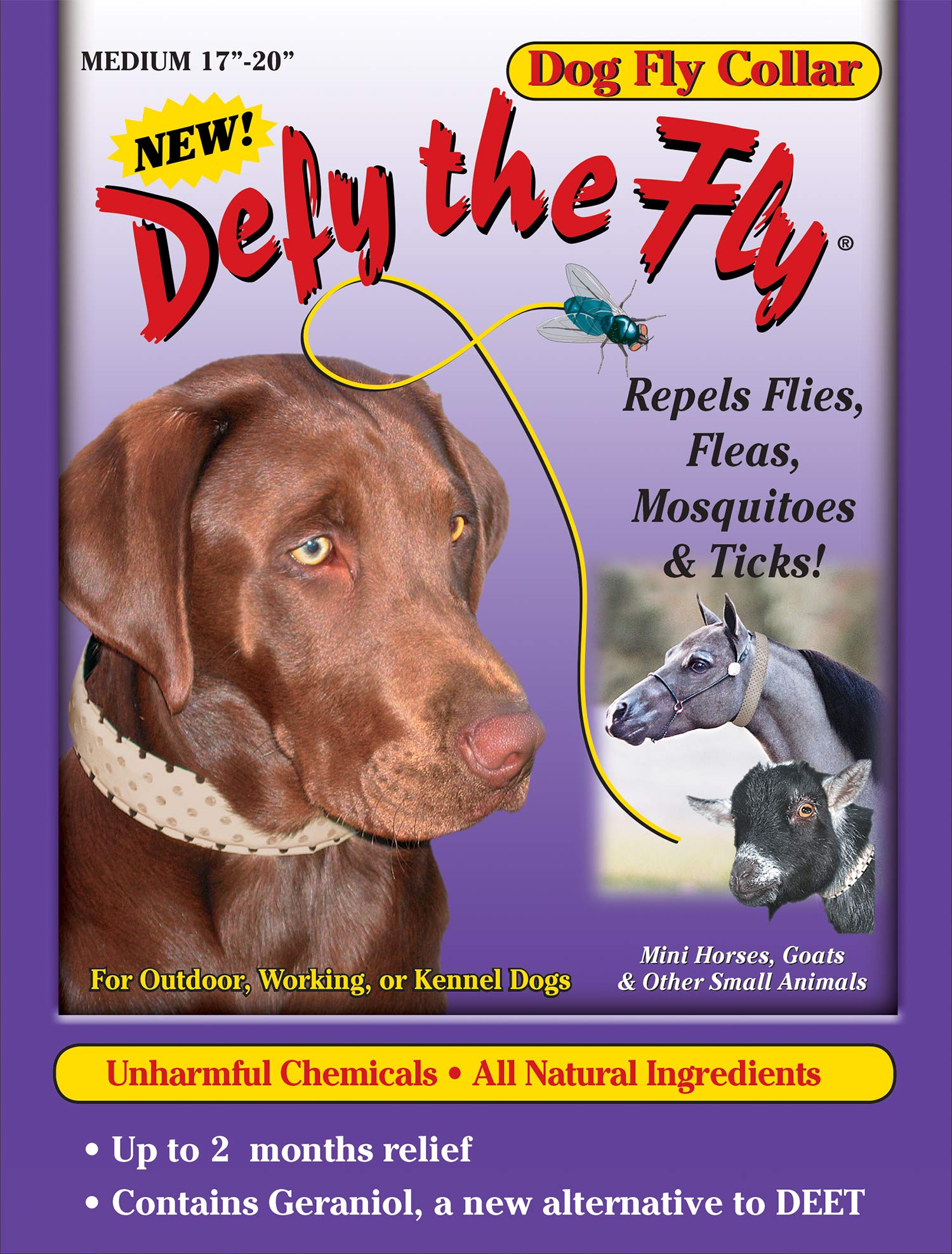 Defy The Fly dog collar with natural finish protects outdoors from flies