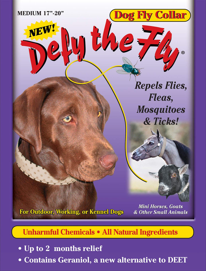Defy The Fly dog collar with natural finish protects outdoors from flies