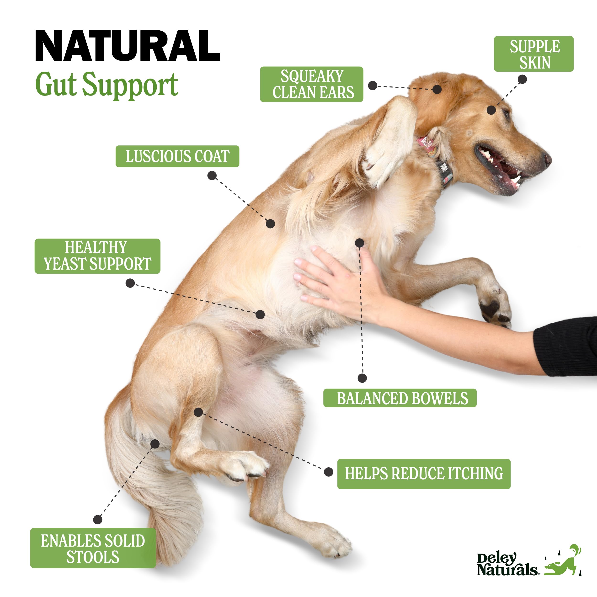 Deley Naturals chews in bowl illustrate easy daily serving and palatability.