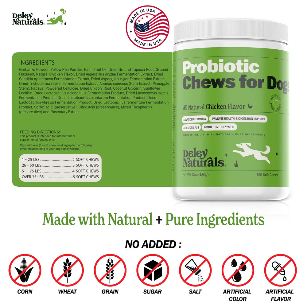 Dog enjoying Deley Naturals chews during mealtime demonstrates routine use.