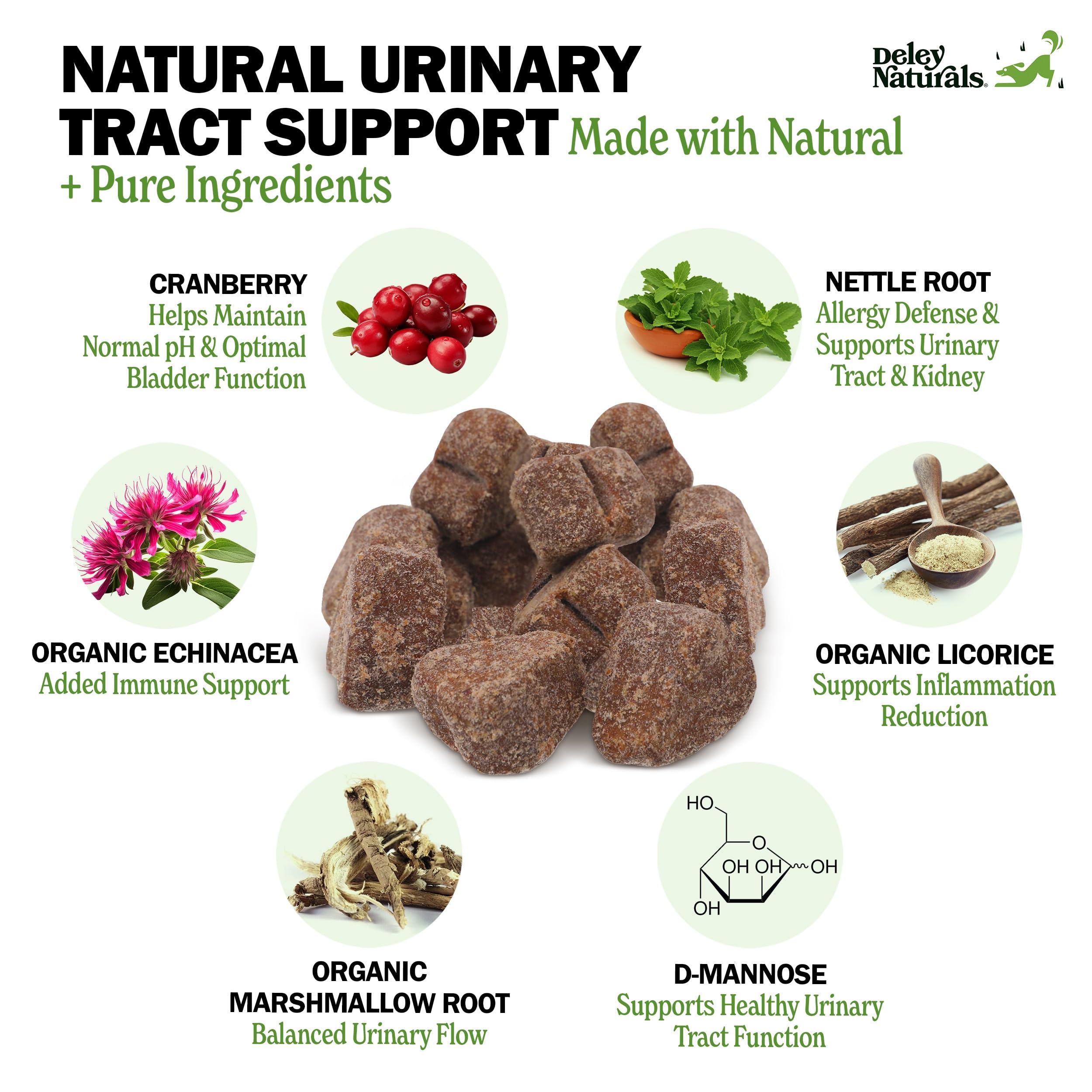 Deley Naturals Dog UTI Chews cranberry D-Mannose close-up highlights natural bladder support.