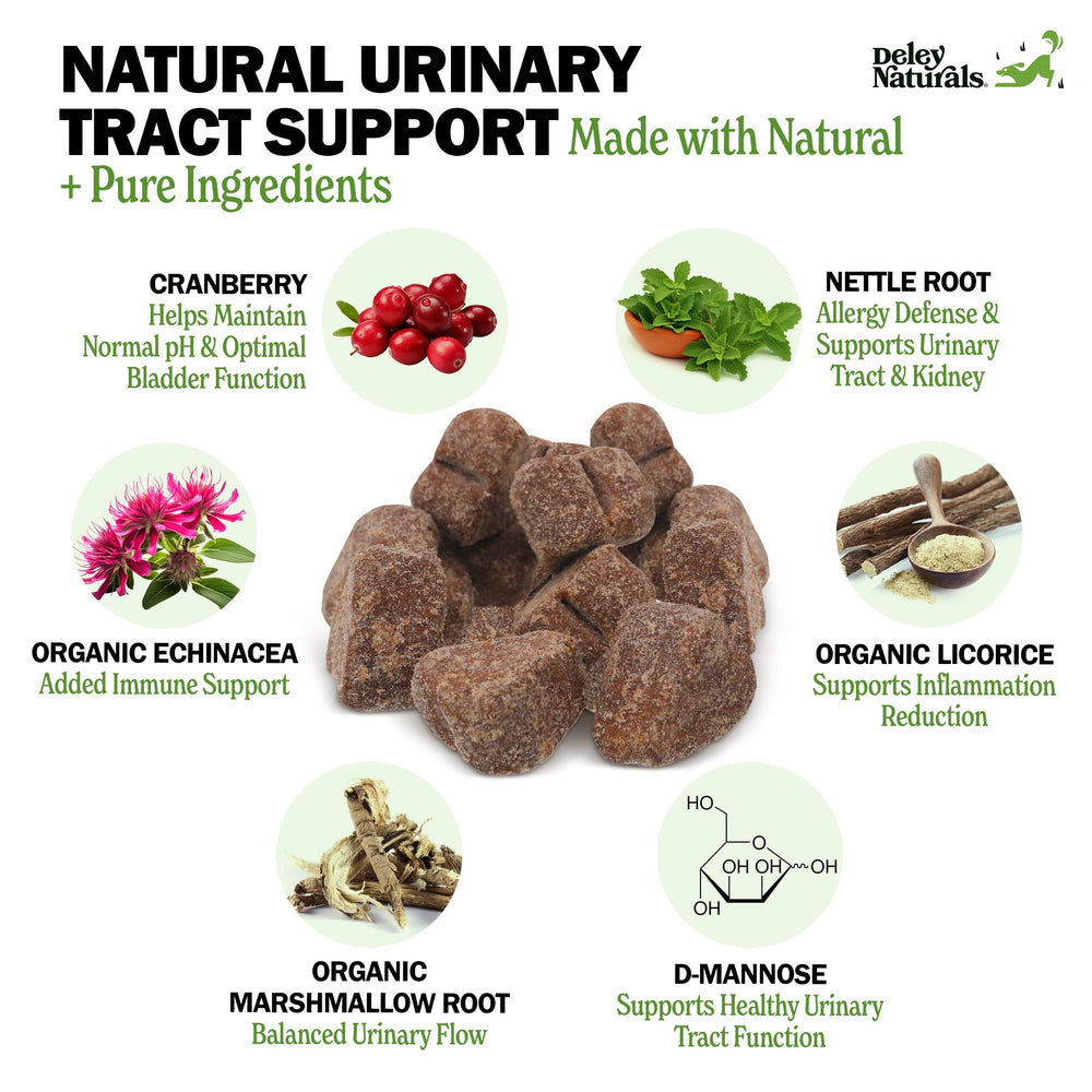 Deley Naturals Dog UTI Chews cranberry D-Mannose close-up highlights natural bladder support.