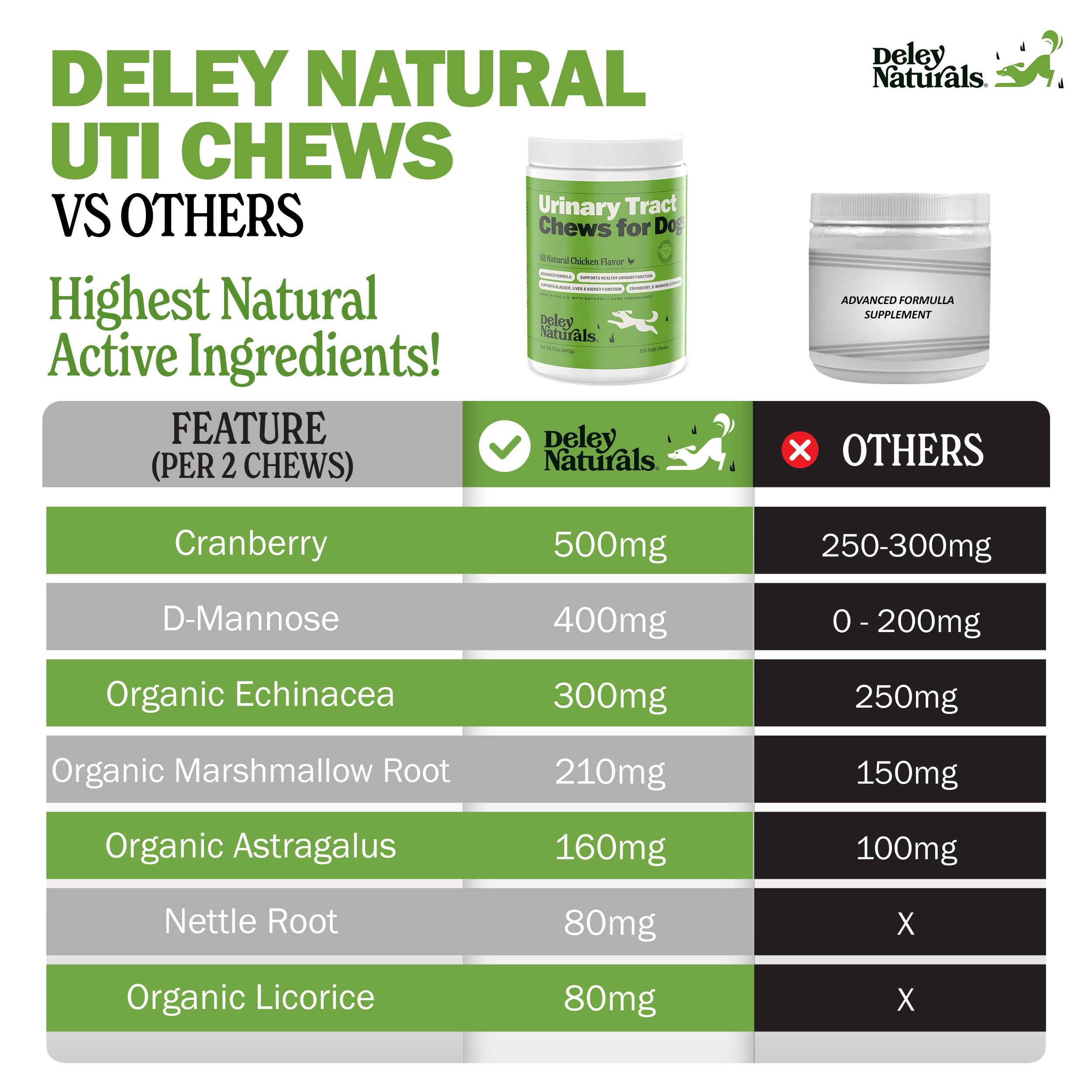 Deley Naturals Dog UTI Chews packaging front communicates convenient, mess-free urinary support.