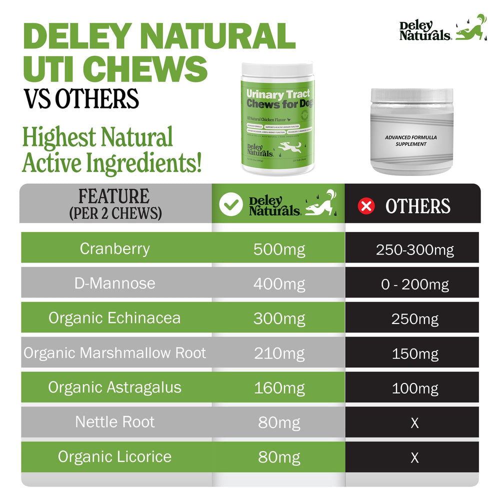 Deley Naturals Dog UTI Chews packaging front communicates convenient, mess-free urinary support.