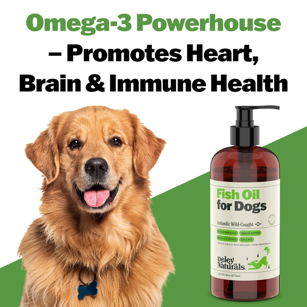 Deley Naturals Fish Oil for Dogs itchy-skin relief visual suggesting calmer skin and comfort