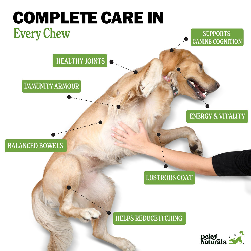 Deley Naturals krill oil and biotin support skin and coat health in dogs.