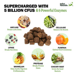Deley Naturals Probiotics Plus label highlights 5 billion CFU and enzymes