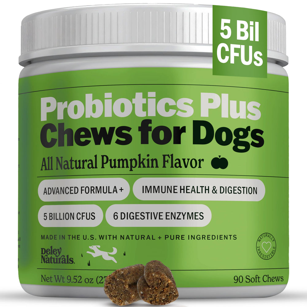 Deley Naturals Probiotics Plus pumpkin chews closeup for digestion support
