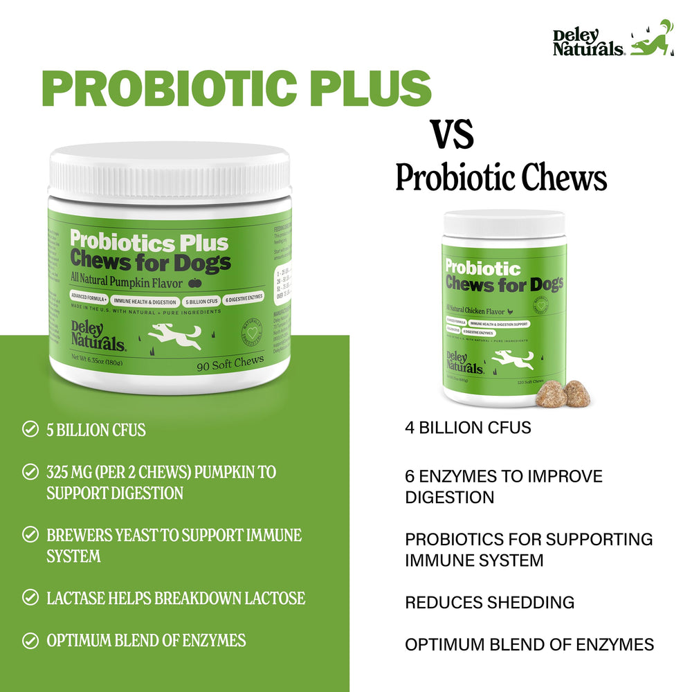 Deley Naturals Probiotics Plus manufactured in USA in GMP facility