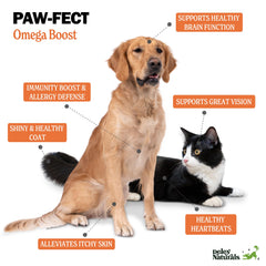 Joint-support angle of Deley Naturals salmon oil for active pets.