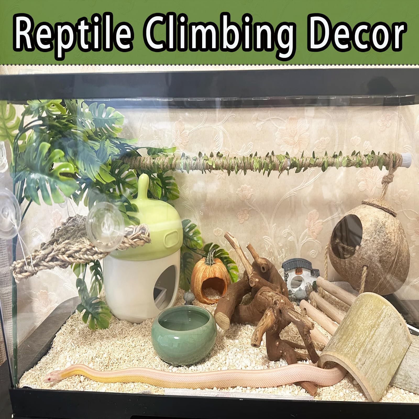 Delllala snake climbing stick enhances enclosure aesthetics while providing functional climbing.