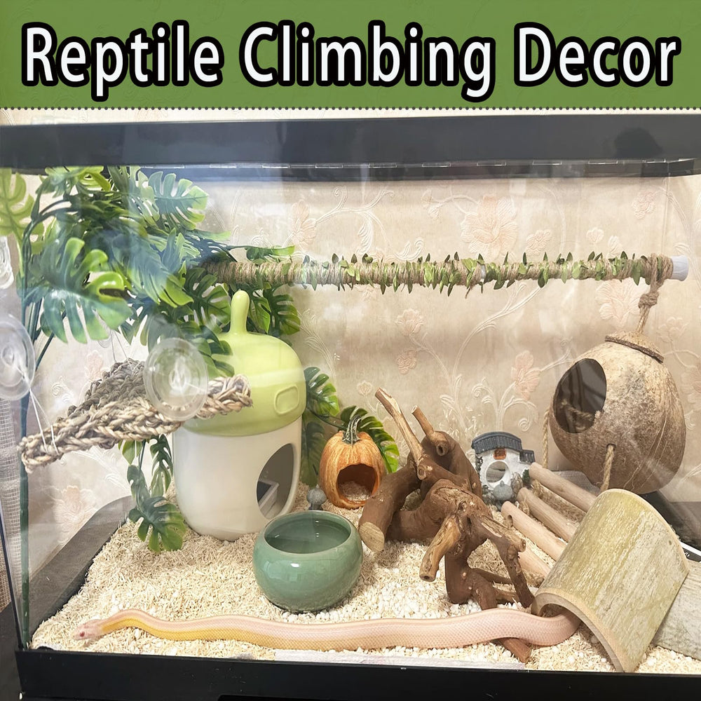 Delllala snake climbing stick enhances enclosure aesthetics while providing functional climbing.