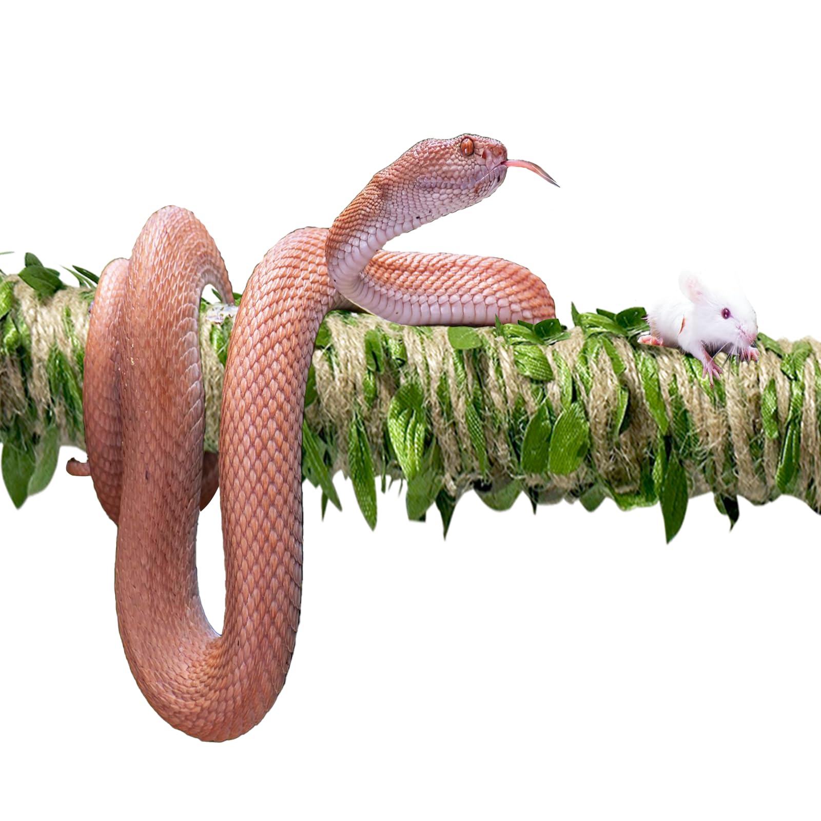Delllala snake climbing stick supports multiple reptile species and habitat enrichment.