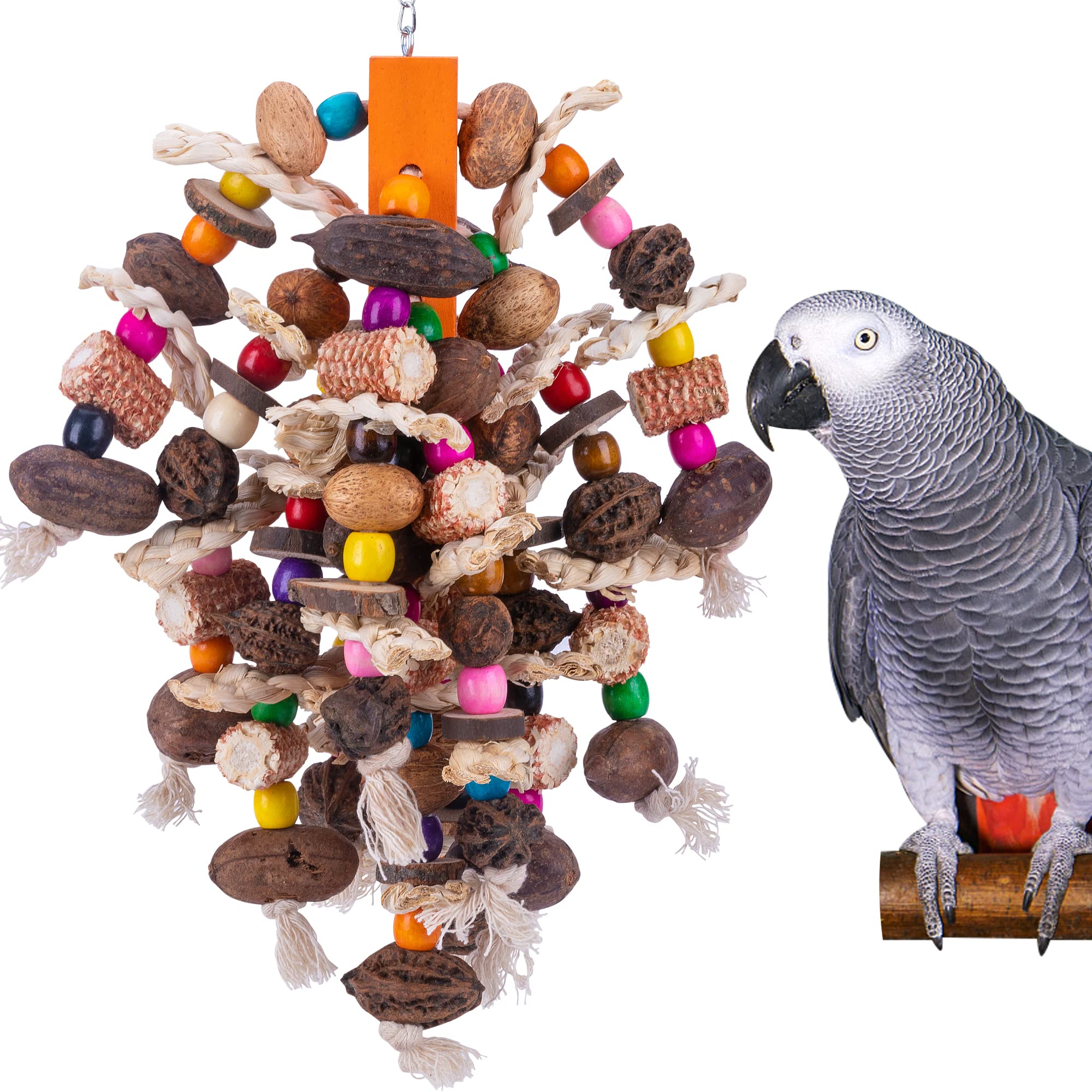 Deloky large parrot toy with natural nuts and corn for safe chewing and enrichment.