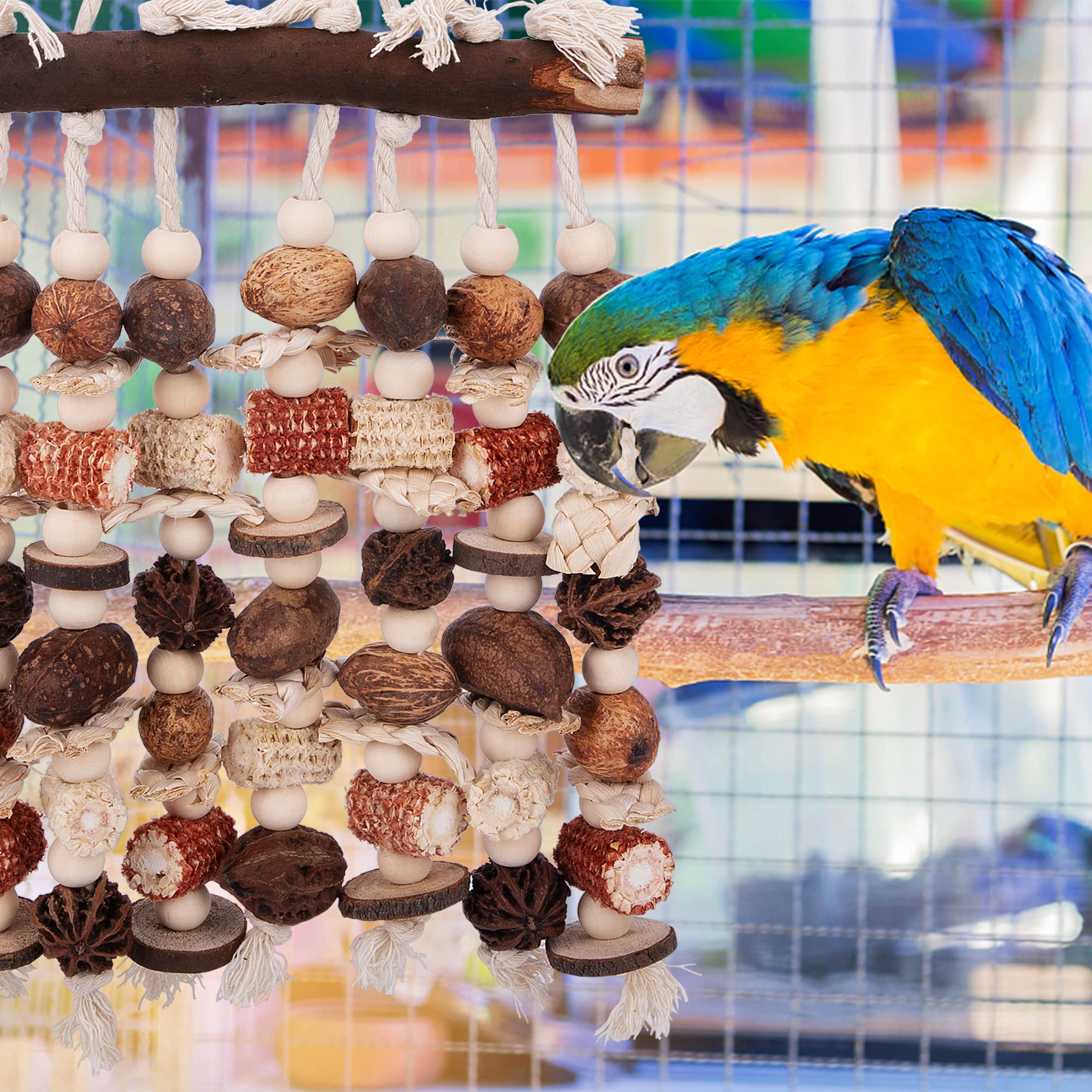 Deloky durable parrot toy designed for long-term use by medium to large birds.