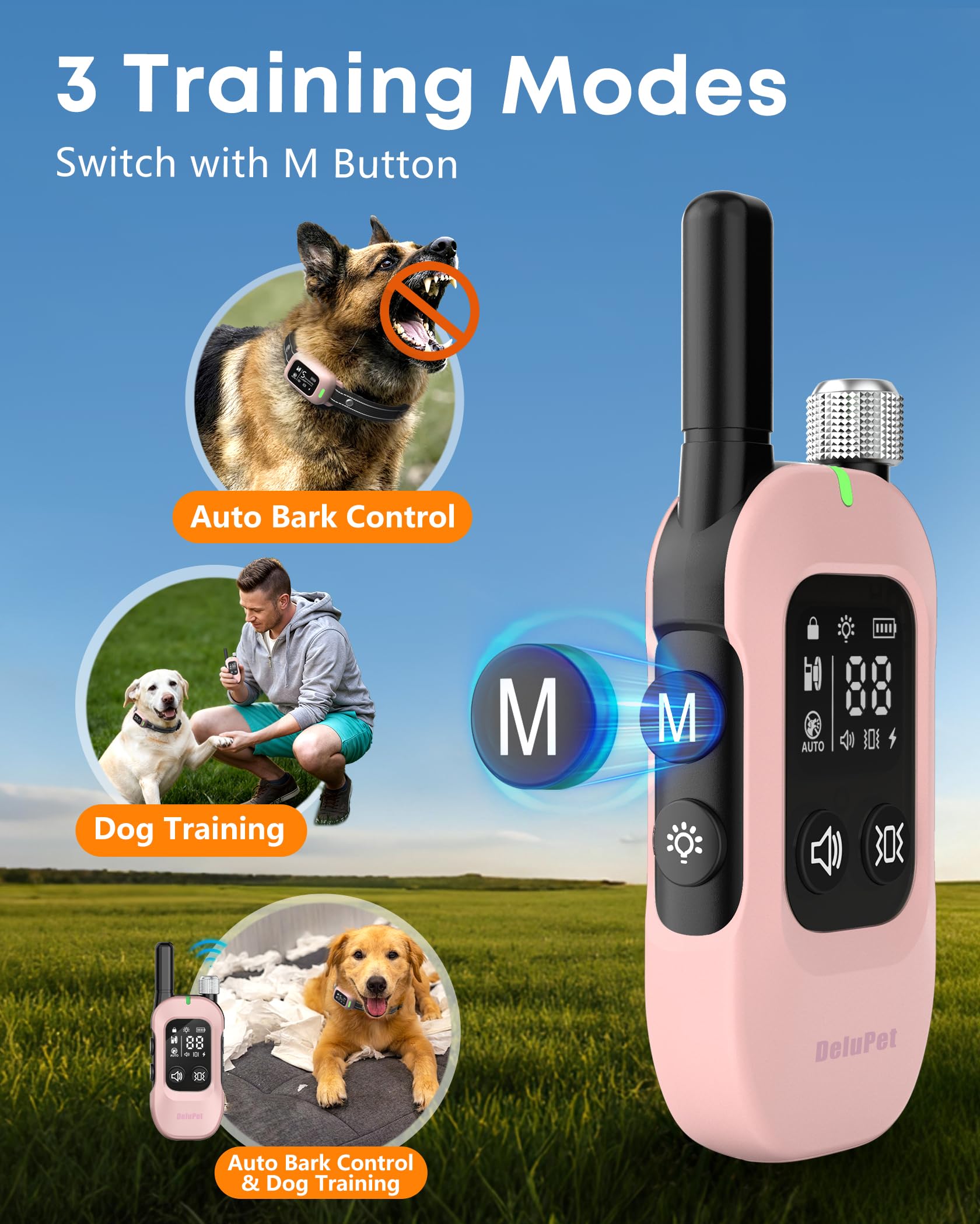 Delupet three training modes displayed for customization