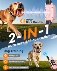 Delupet AI bark detection in action for precise control