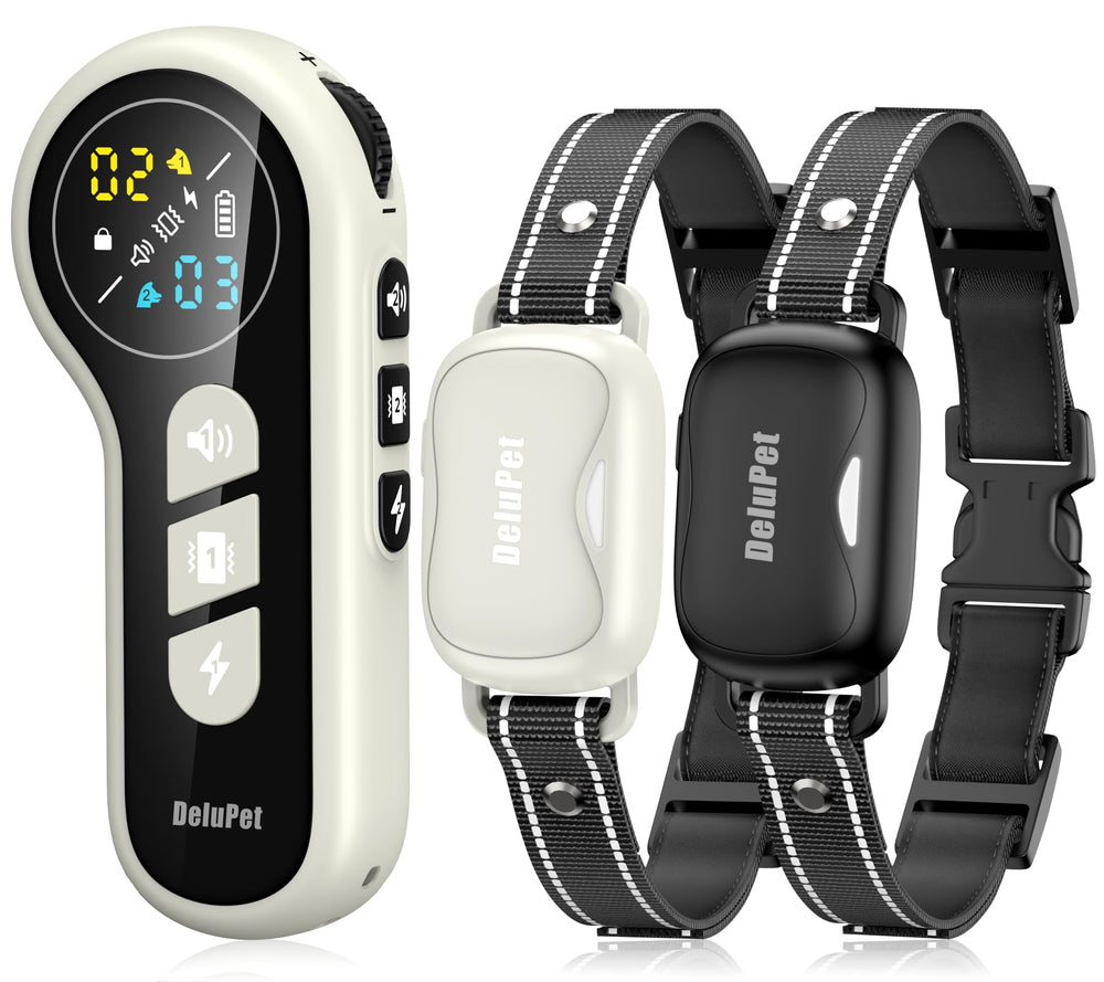 Delupet dual-direct remote controlling two dogs for synchronized training sessions.