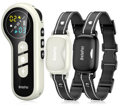 Delupet dual-direct remote controlling two dogs for synchronized training sessions.