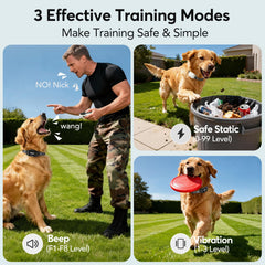Delupet IPX8 waterproof dog collar ready for all weather and swims.