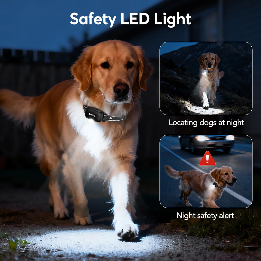 Delupet remote with safety lock prevents accidental activation.
