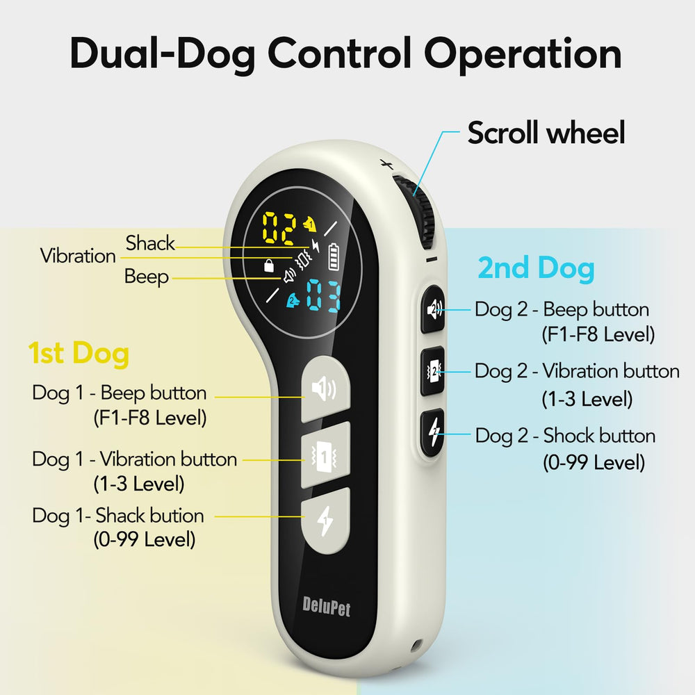 Delupet training collar in rain demonstrates rugged usability.