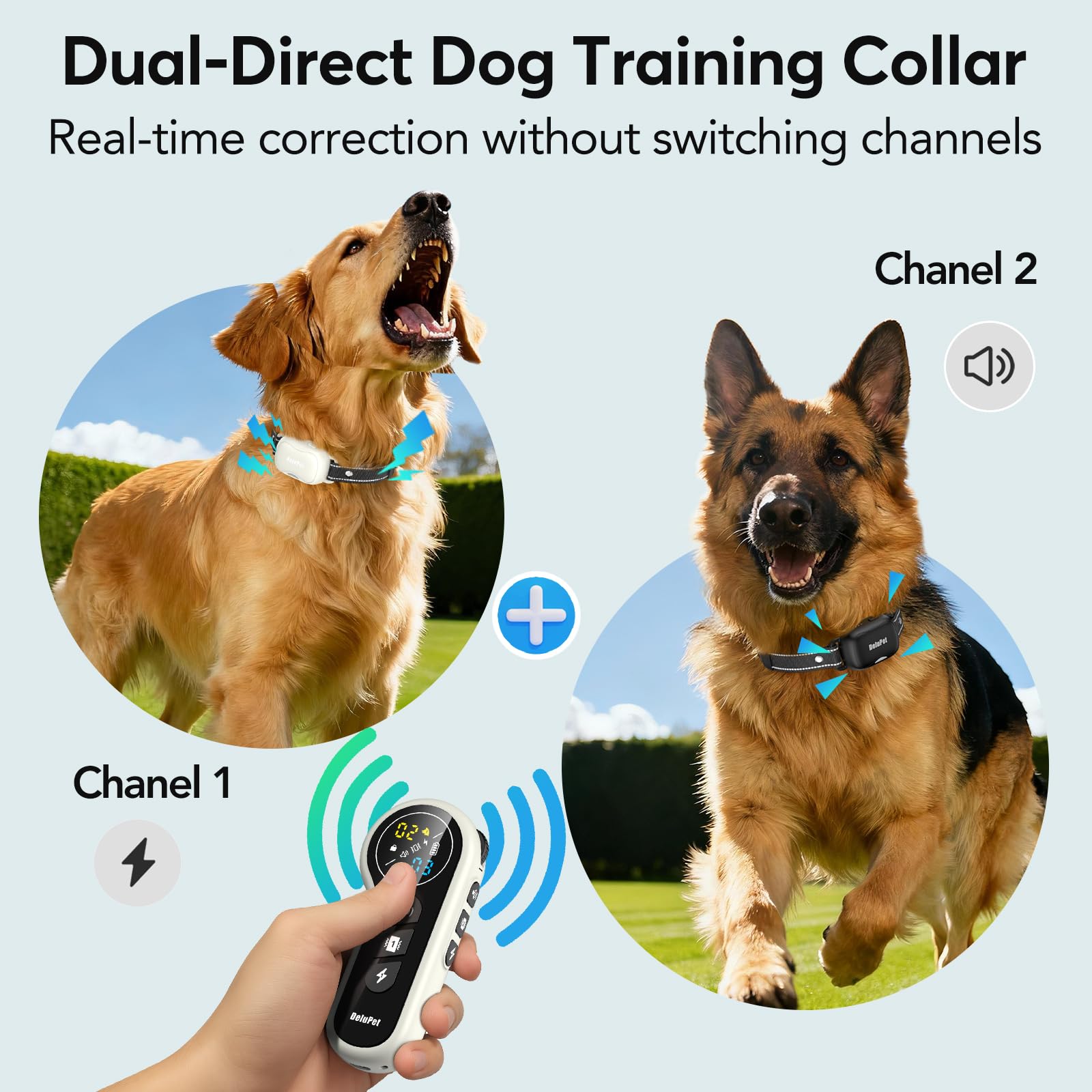 Delupet two receivers on dogs enabling simultaneous training across channels.