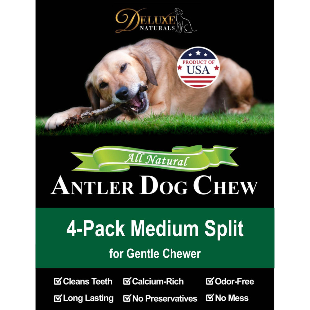 Deluxe Naturals Elk Antler Chews dense, long-lasting chew sessions.