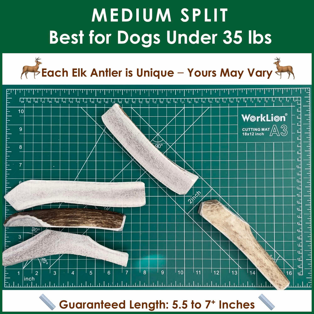 Deluxe Naturals Elk Antler Chews odor-free and mess-free chews for homes.