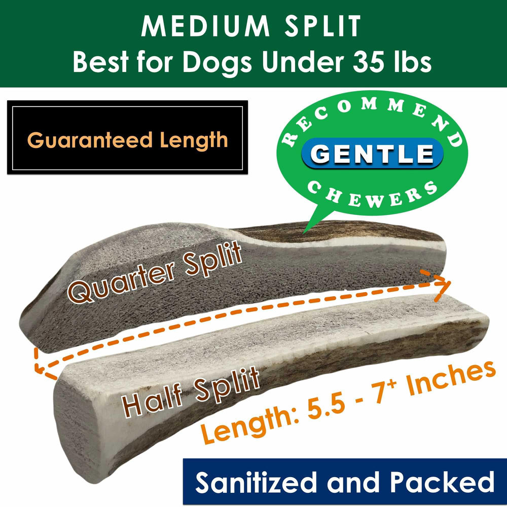 Deluxe Naturals Elk Antler Chews rawhide-free all-natural chew for dogs.