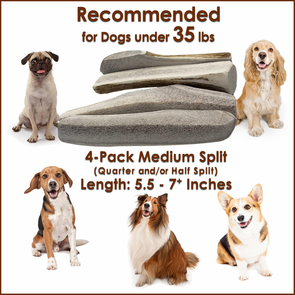 Deluxe Naturals Elk Antler Chews split design reveals marrow for easy chewing.