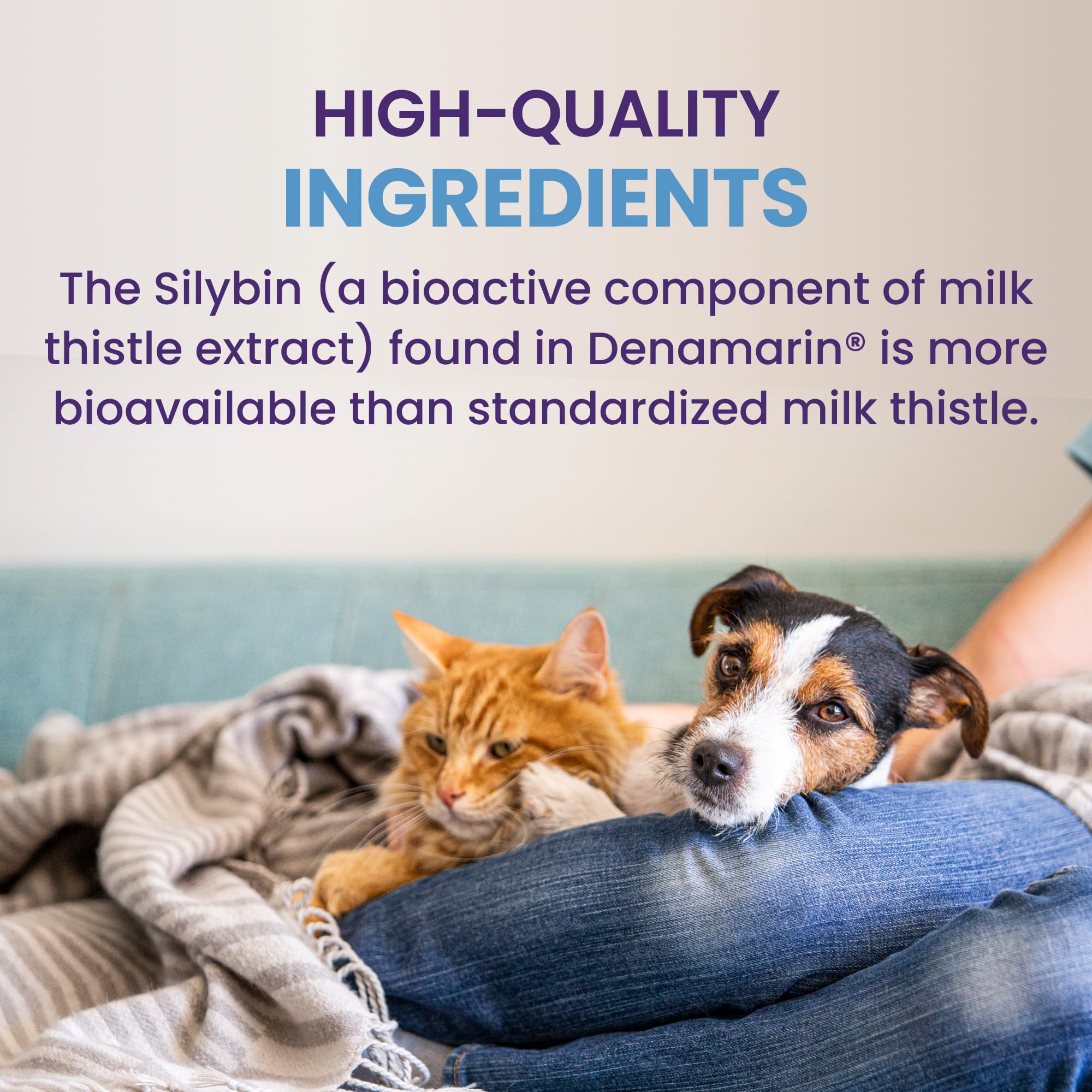 Dogs and cats using Denamarin tablet as part of their daily routine
