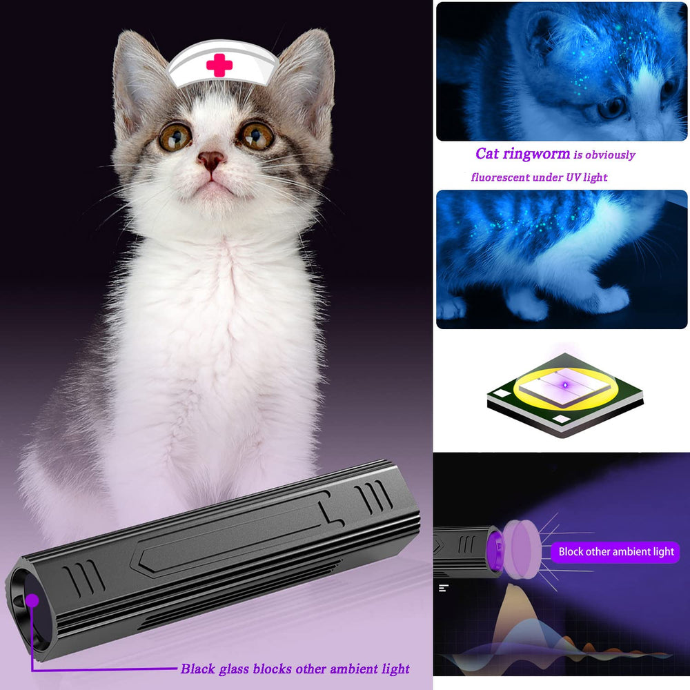 Denlydom Cat Ringworm detection under UV fluorescence reveals hidden skin concerns.