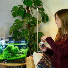 Dennerle Shrimp King Complete supports dwarf shrimp vitality in home aquariums.