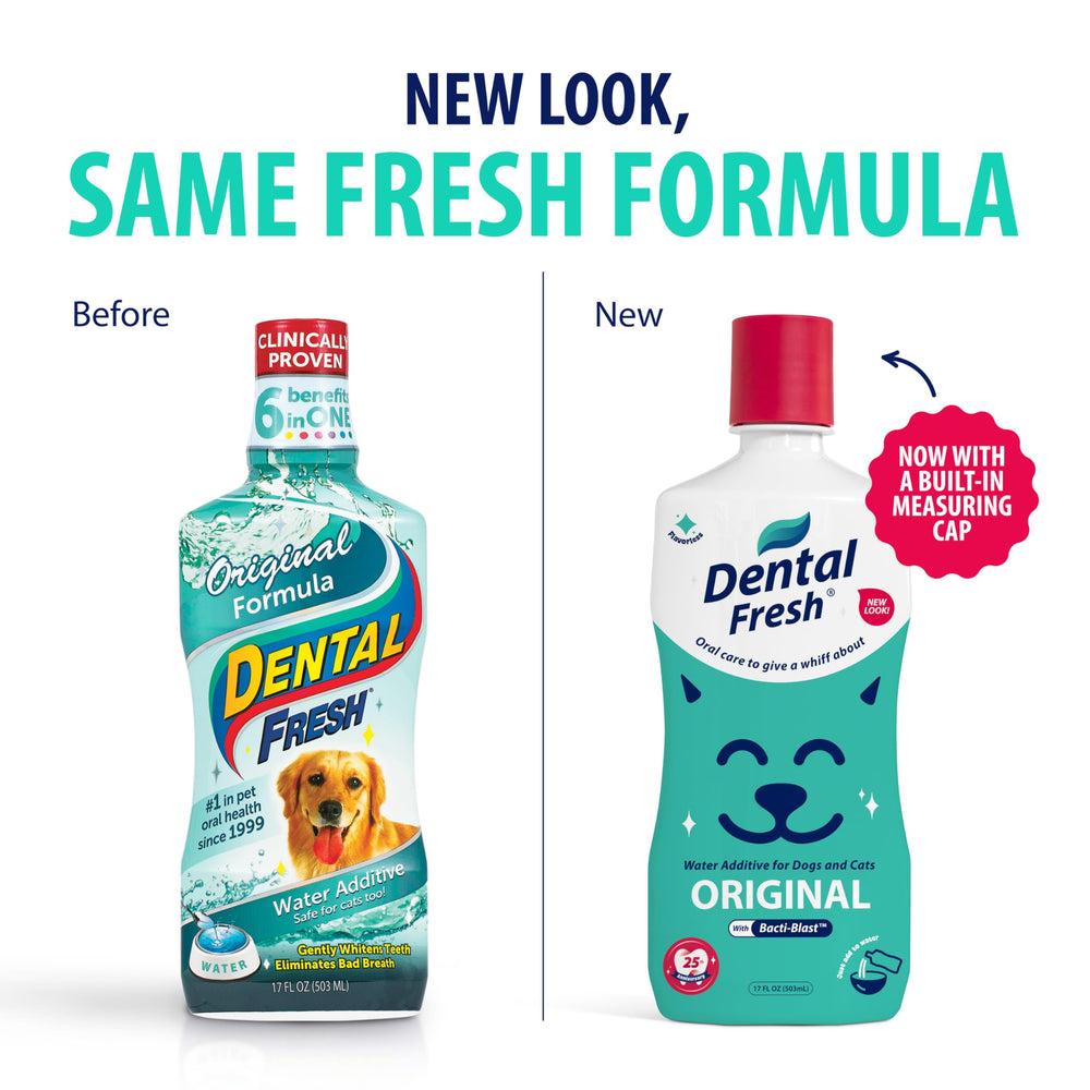 Dental Fresh cat drinking water with flavorless formula in use.