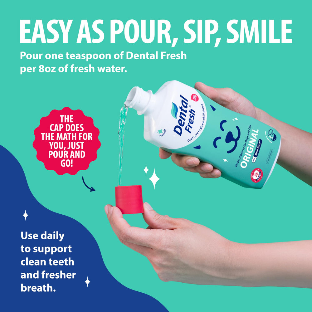 Dental Fresh dog drinking water demonstrates easy daily oral care.