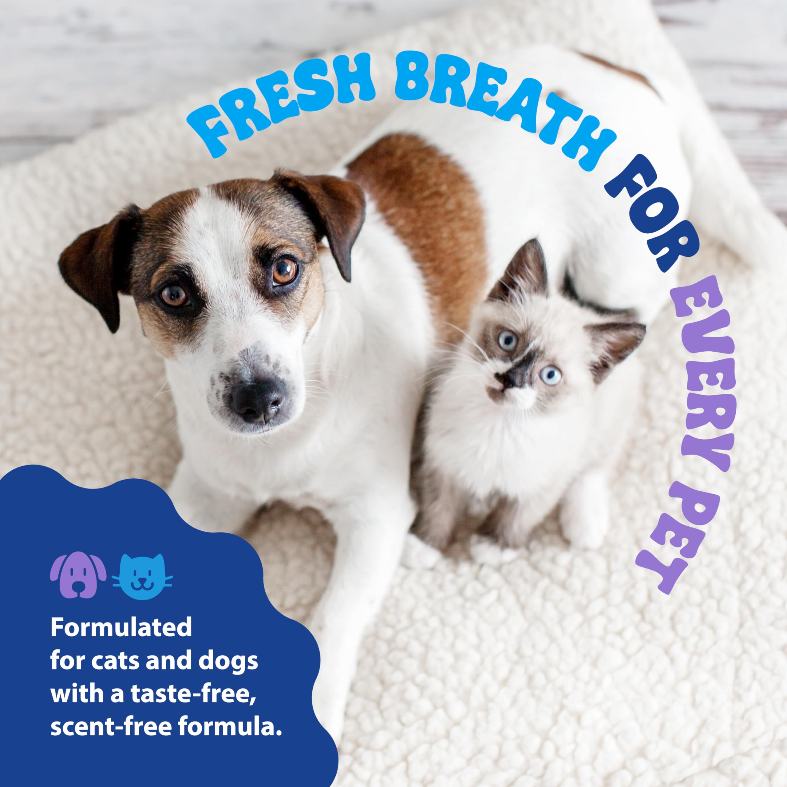 Dental Fresh label highlights USA-made SynergyLabs formula.