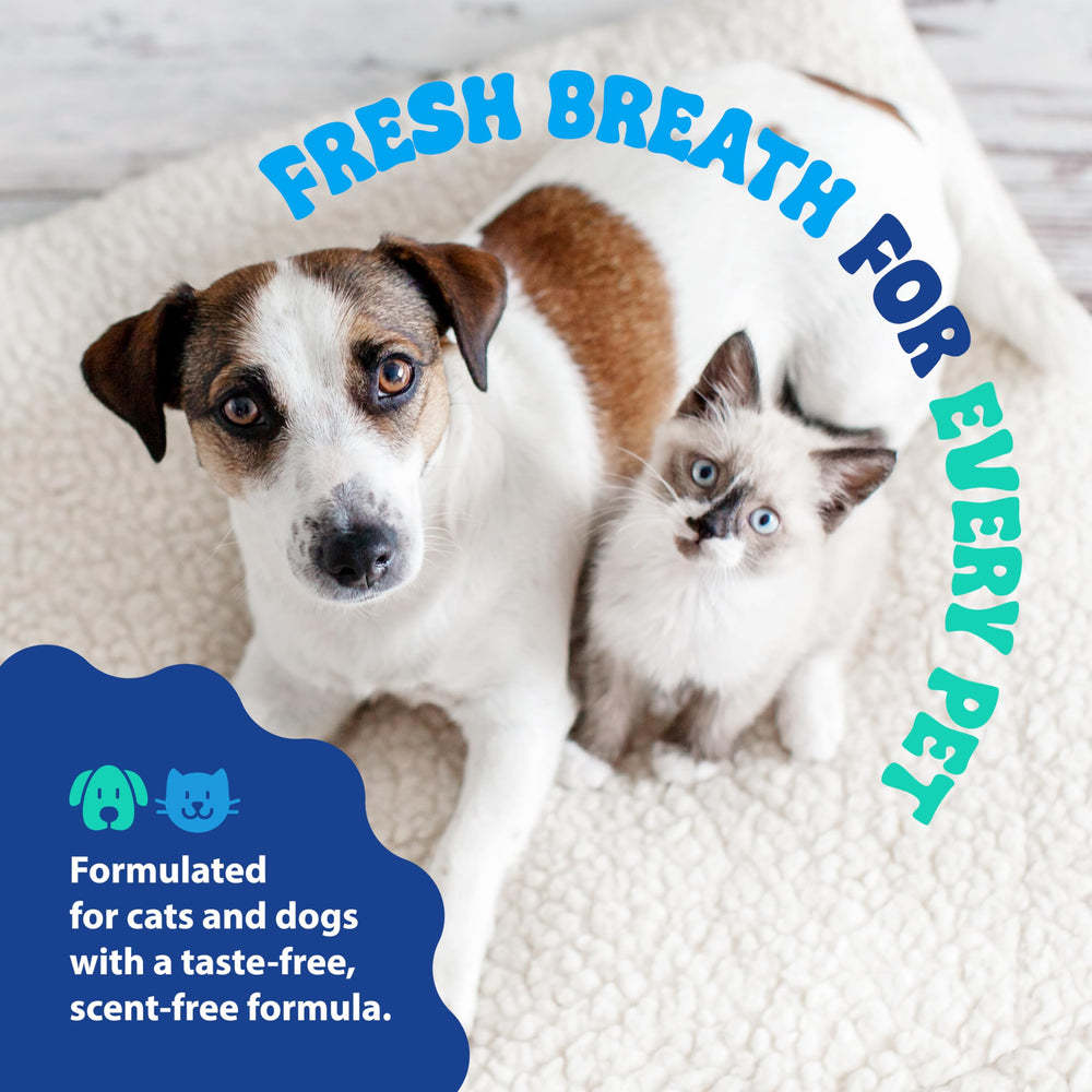 Dental Fresh USA-made seal on packaging.