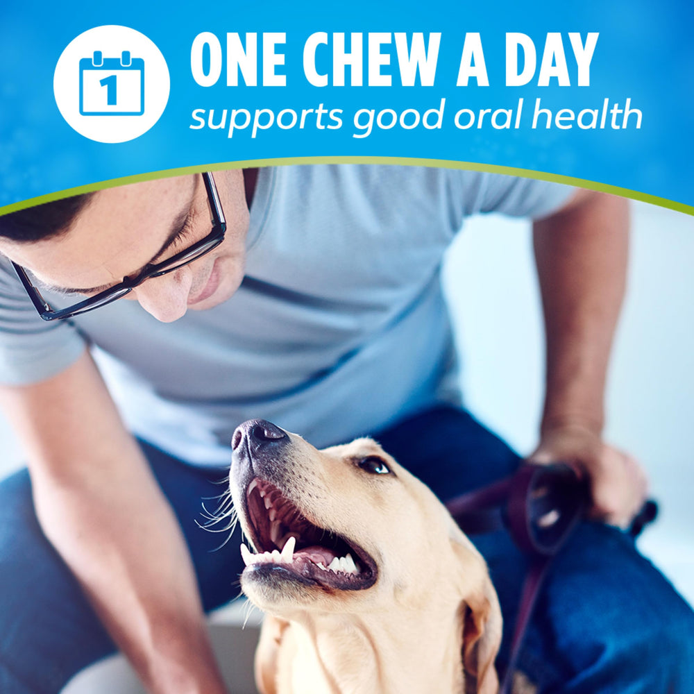 DentalLife ActivFresh packaging highlights 45 chews per pack.