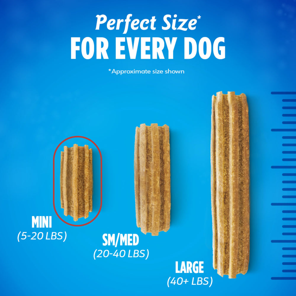 Dentalife DentaLife small dog enjoying treat—support for oral health routine.